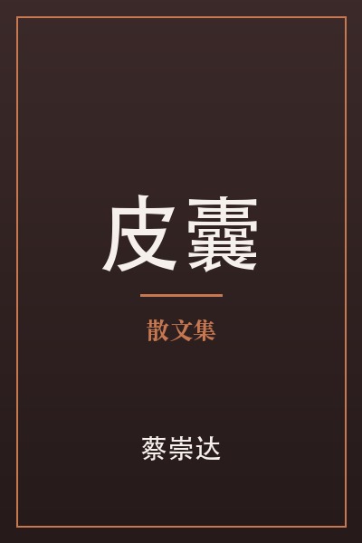 Cover of 皮囊 by 蔡崇达
